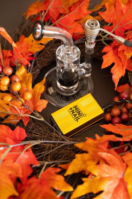 Warm Up At Home: Cozy Fall Indoor Activities + Your MiniNail