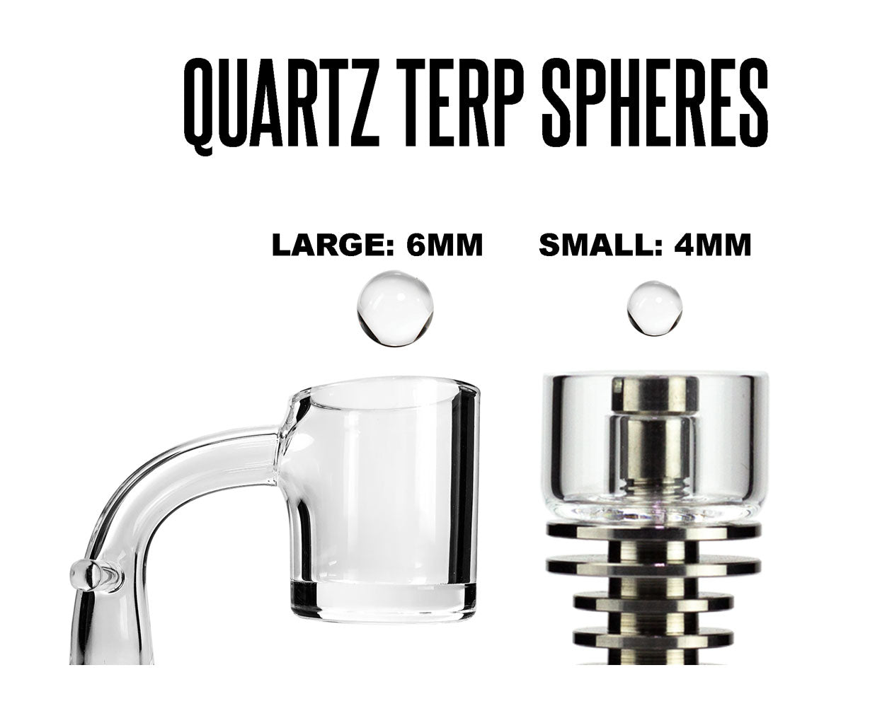 Terp Pearl Inforgraphic
