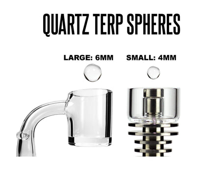 Terp Pearl Inforgraphic
